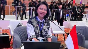 BKSAP DPR Dorong Pemerintah RI Pimpin Upaya Global Hentikan Israel Genosida di Gaza