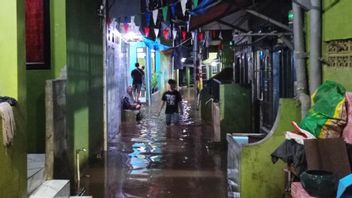 BPBD DKI Jakarta Pastikan Banjir di Ibu Kota Sudah Surut