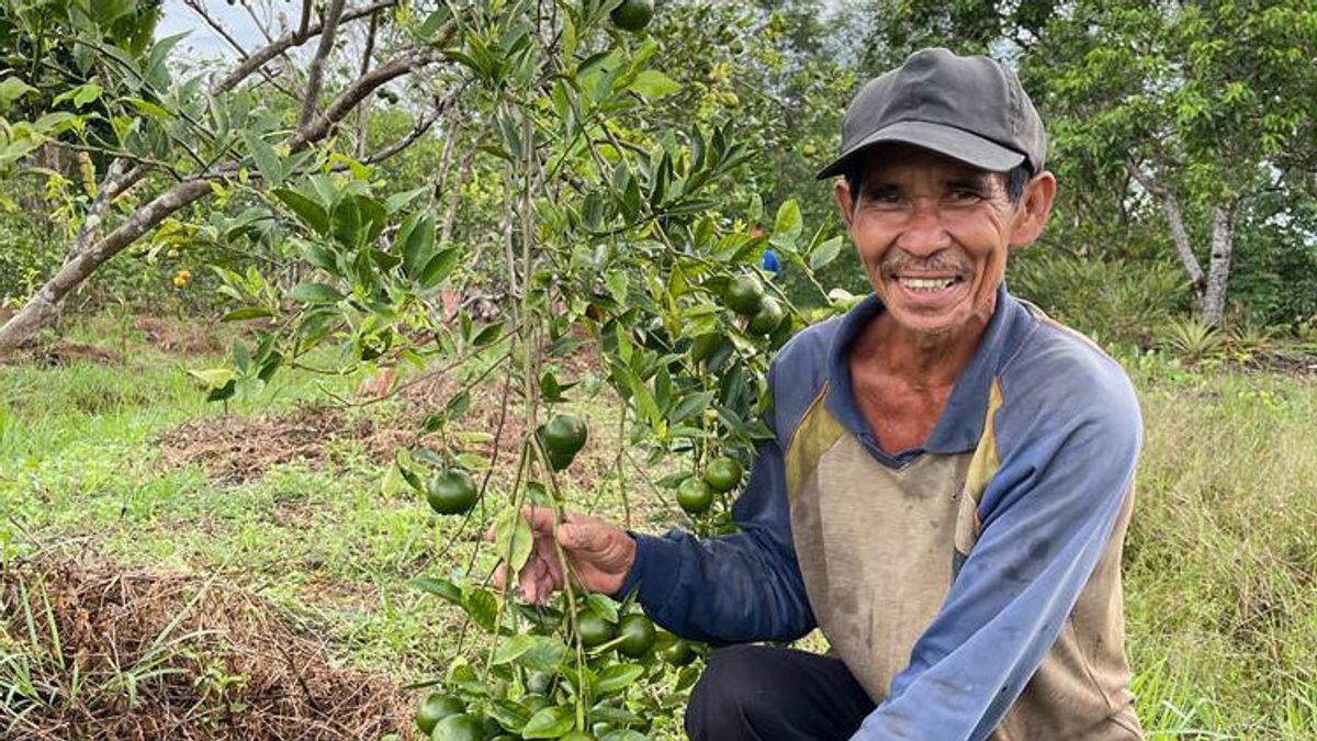 800 Petani di Kalimantan Tengah Ikuti Program Bertani Tanpa Bakar dan Tanpa Kimia