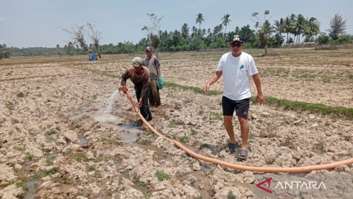 Les agriculteurs de Mukomuko espèrent que le gouvernement construira une irrigation