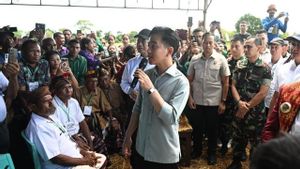 Golkar Pasang Badan! Isu Pemakzulan Gibran Disebut Tak Masuk Akal