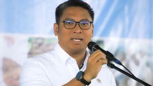 Banyak Terima Pesan WA Keluhkan Soal Pupuk, Wamentan Usul Bentuk Tim Khusus Tangani Aduan