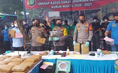 Polisi Ungkap Ladang di Madina Sumut, 144,5 Ton Ganja Disita