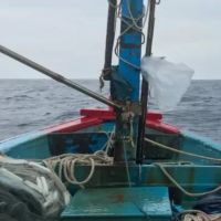 Bea Cukai Beberkan 2 Jalur Rokok Ilegal Masuk Lampung dan Bengkulu