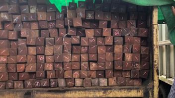 Kemenhut Tangkap Pelaku Pengangkut Ratusan Kayu Ulin Ilegal di Kaltim