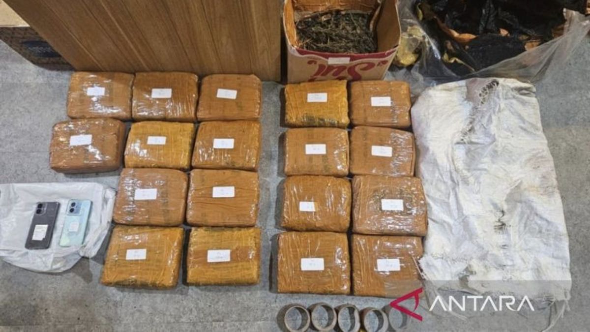 Polda Metro Jaya Gagalkan Peredaran Ganja Seberat 18 Kg di Jakbar
