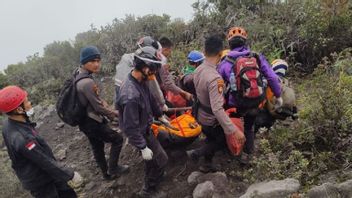 1 De plus de grimpeurs piégés lors de l’éruption de Marapi ont été retrouvés morts