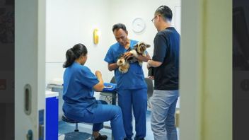 New Culture of Caring for Pets of Urban People