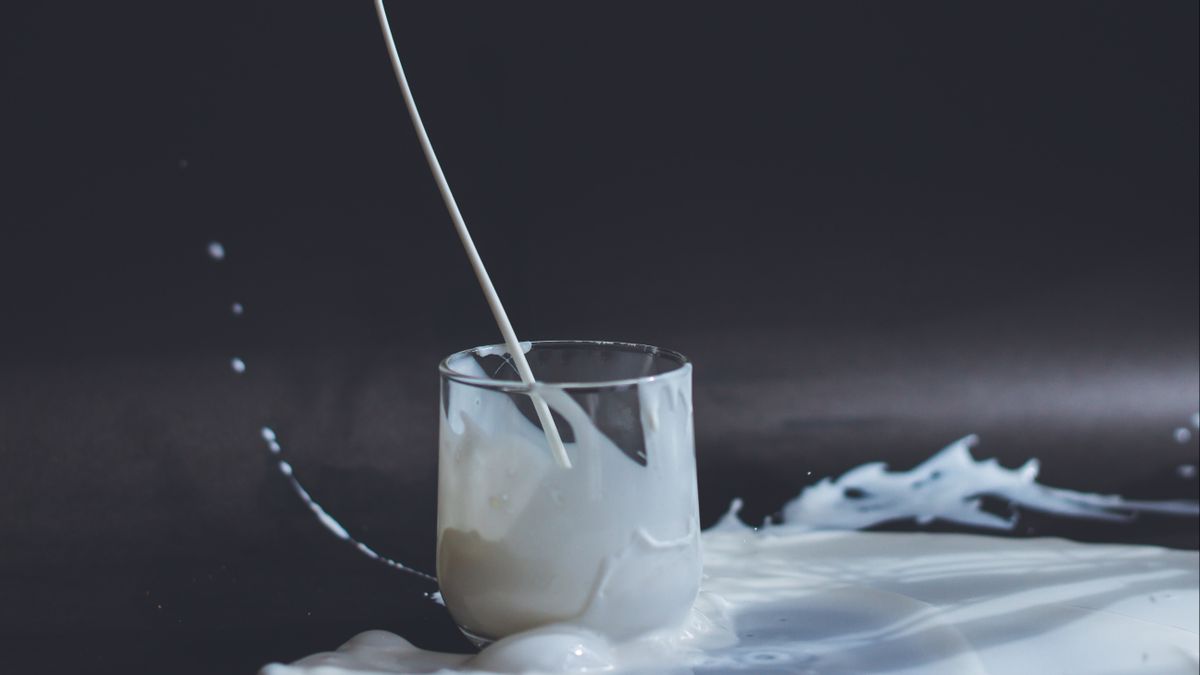 Apa Itu Protein Susu Terhidrolisa: Berikut Penjelasan Lengkapnya