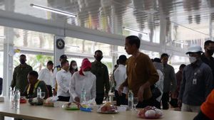 Presiden Jokowi Makan Siang Bareng Pekerja Proyek IKN
