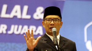 Ridwan Kamil Mengaku Kaget Bupati Bogor Ditangkap KPK