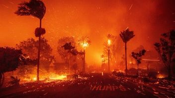 Korban Tewas akibat Kebakaran Los Angeles Bertambah jadi 13 Orang