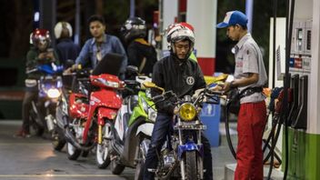 Investment Minister Asks People To Prepare For The Rising Fuel Prices, This Is What Pertamina Has To Say