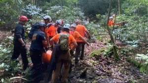 Pendaki yang Hilang Selama 2 Minggu di Kentucky Selamat Usai Tim SAR Dengar Suara Minta Tolong