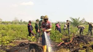 Kebakaran Lahan di Aceh Barat Meluas Menjadi 50,2 Hektare