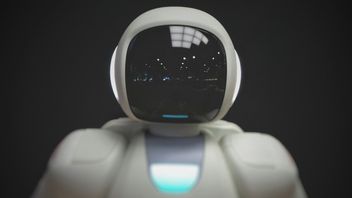 Meta Will Develop AI-backed Humanoid Robot