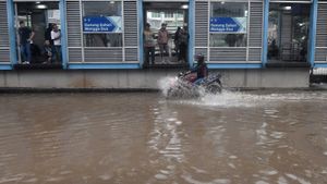 Jakarta Kembali Banjir, Sejumlah Rute Transjakarta Dialihkan hingga Setop Operasi