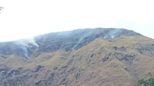 Forest Fires In Rinjani And Sembalun Due To Humans