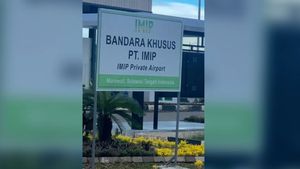 Polemik Bandara IMIP, Pemerintah Diminta Tegaskan Pengawasan dan Kepatuhan Regulasi