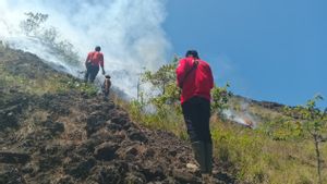 Kebakaran Lahan di Lereng Gunung Batur Kintamani Capai 9,8 Hektare 