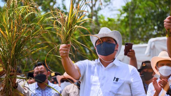 Coordinating Minister Airlangga Is Confident That The Indonesian Economy Continues To Strengthen In The Midst Of Increasingly Intense Global Pressure