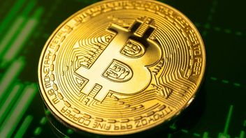 Bank Sentral Ceko Pilih Bitcoin Jadi Cadangan Devisa Negara