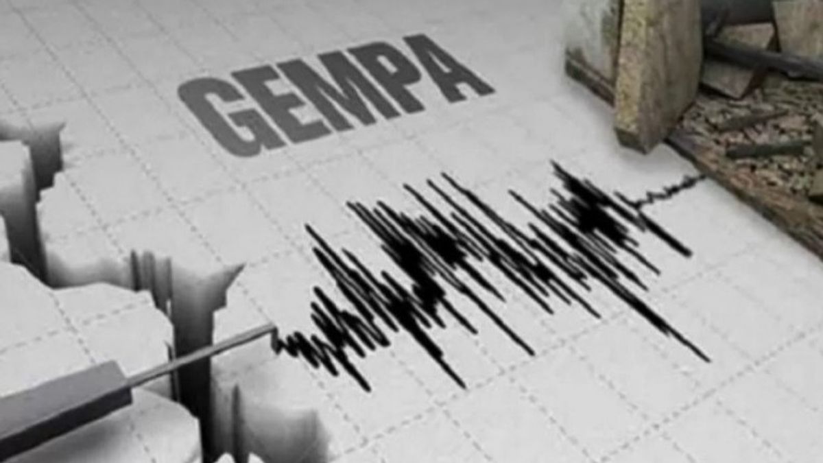 4.9 Magnitude Earthquake Shakes Nabire