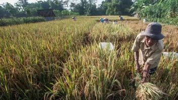 Berita Yogyakarta: Yogyakarta Melanjutkan Strategi Penanganan Kemiskinan Tepat Kebutuhan