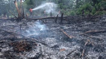 环境和林业部在2023年记录了南苏门答腊的10,090个火点