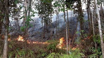 在森林和陆地火灾威胁的中间,东加里曼丹有机会在9月11日至20日下雨