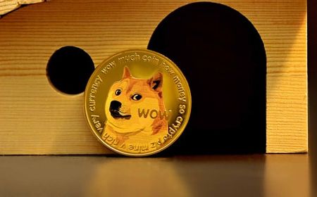 Universitas Quincy Terima Donasi Bitcoin, Dogecoin, dan Shiba Inu