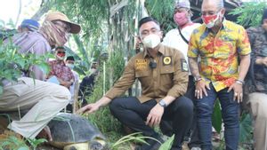 Hari Sungai Sedunia, Wagub Banten Melepasliarkan Kura-Kura ke Sungai Cisadane