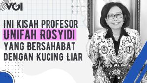 VIDEO: Ini Kisah Profesor Unifah Rosyidi yang Bersahabat dengan Kucing Liar