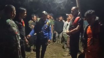 Petani Hilang Setelah Diserang Buaya di Aceh Timur