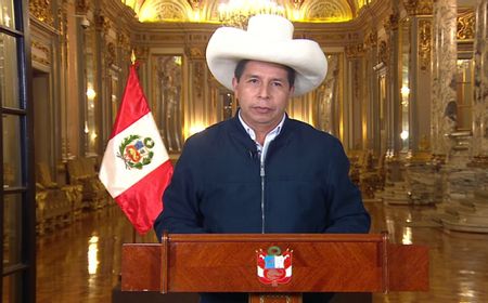 Memori Pemakzulan Presiden Peru, Pedro Castillo