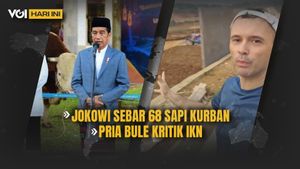VOI Today video:Jokowi Sebar 68 Customs Wire,Men Bule Kritics IKN