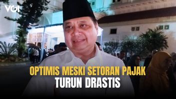 Airlangga Hartarto Tanggapi Rapor Merah APBN dan Pajak