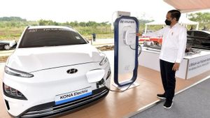 PLN Siapkan Mobil Listrik sebagai Kendaraan Operasional Delegasi G20 dalam Forum ETWG
