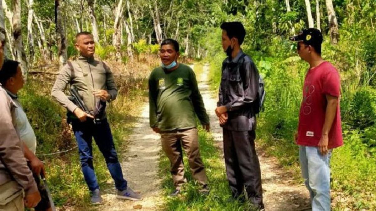 BKSDA Jambi Telusuri Jejak Tapak Harimau 'Datuk Belang' di Bajubang Batanghari