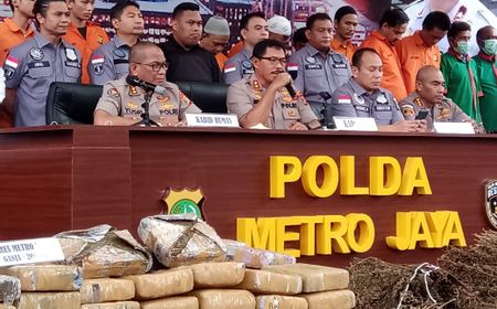 Pengungkapan Ladang Ganja Seluas 5 Hektare di Sumatera Utara