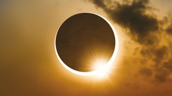 Regardez Le Rare Moment De L’éclipse Solaire Anneau Le 26 Décembre
