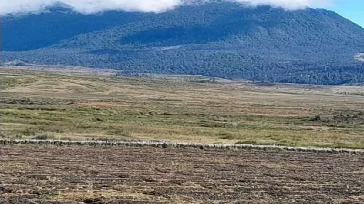 Bupati Sebut Warga Kabupaten Puncak Korban Bencana Kelaparan Butuh Bantuan Air Minum