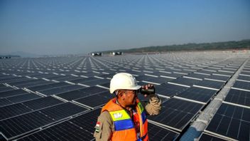 Jadi <i>Green City</i>, IKN Bakal Punya Dua PLTS 50 MW Tahun Ini