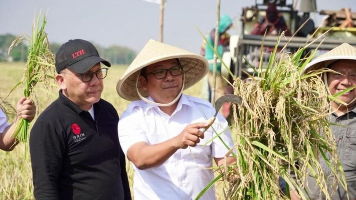 Acting Minister Of Agriculture Pursues Production Target With 65 Days Of Rice Harvest