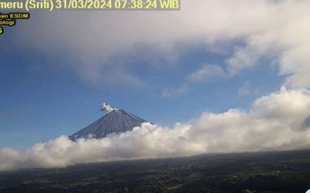 Kembali Erupsi, Gunung Semeru Lontarkan Abu Vulkanik Setinggi 600 Meter