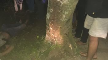 Loss Of Control Due To Being Hit From Behind, Jupiter MX Rider In Lombok Hits A Tree And Dies On The Spot