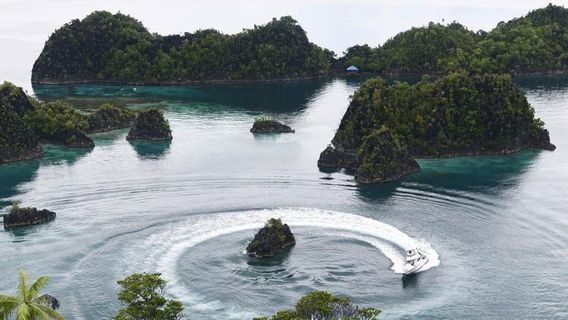 PT Gag Nikel Hentikan Sementara Kegiatan Operasional di Raja Ampat