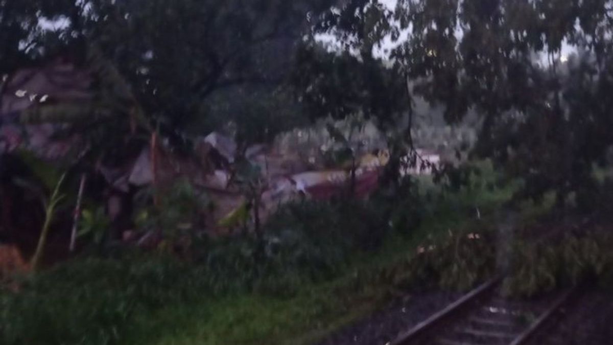Fallen Tree Eliminated, Train Line In Kebayoran Lama Again Can Be Crossed