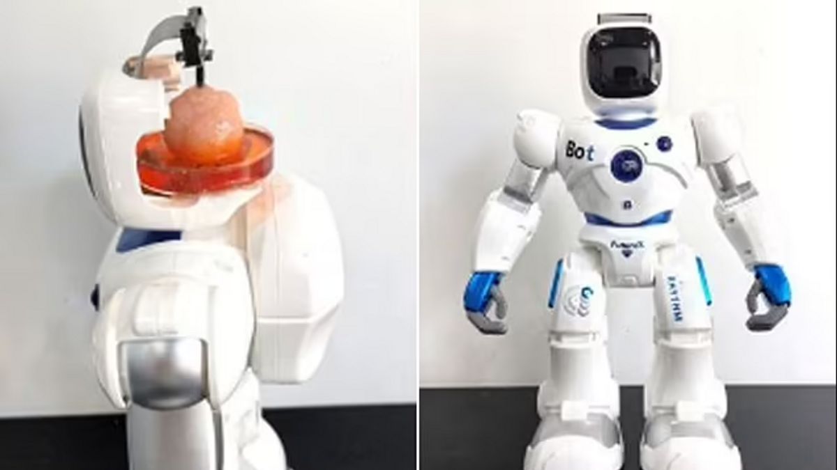 Des scientifiques chinois créent un robot frankozy avec un cerveau humain