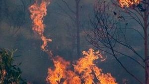 PTPN IV Salurkan Bantuan 15 Unit Mesin Damkar ke BPBD Riau